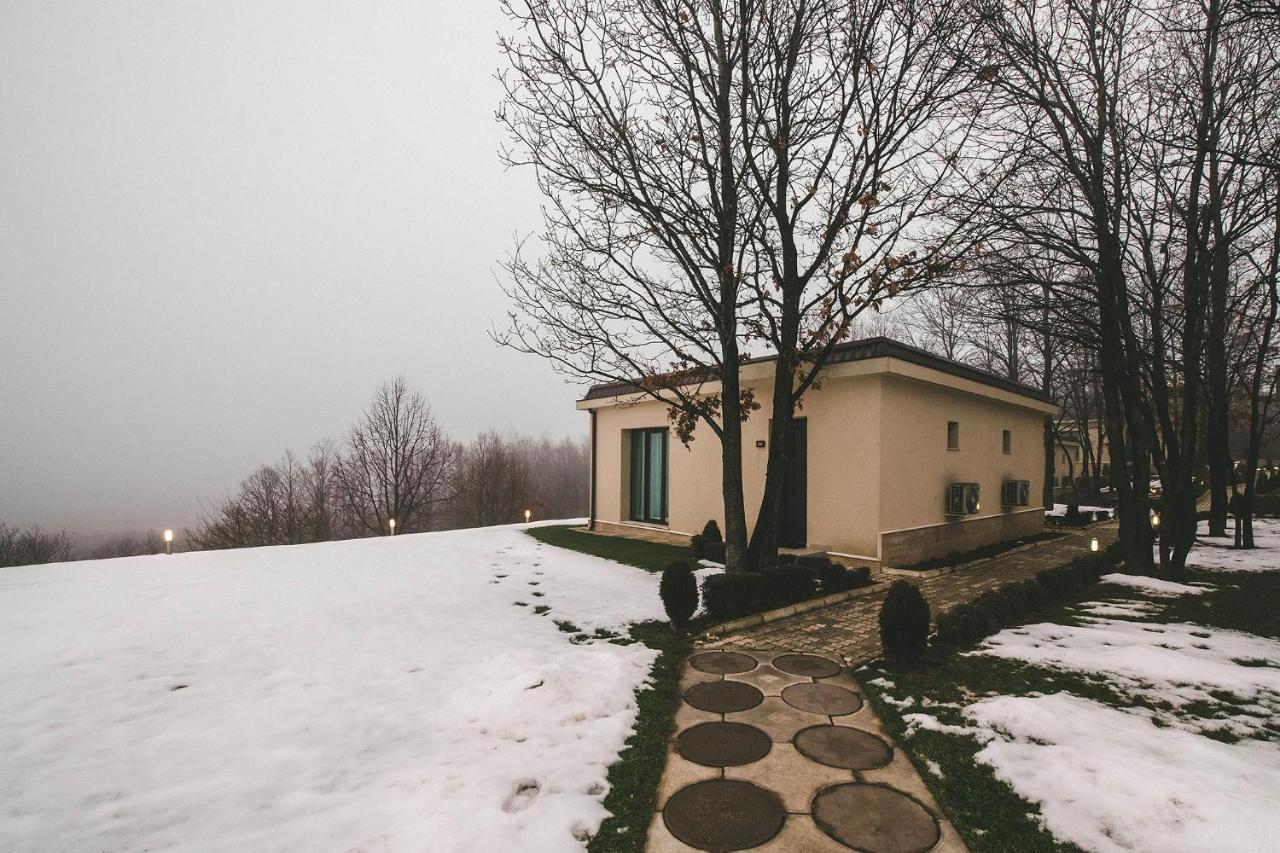 Hotel Villa Ekaterina Vakarel Экстерьер фото